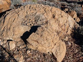 gcnankoweap2021-day3-3  Stromatolite  w.jpg (704280 bytes)